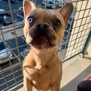 Meet your Posher, Judith